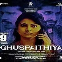 Ghuspaithiya (2024)